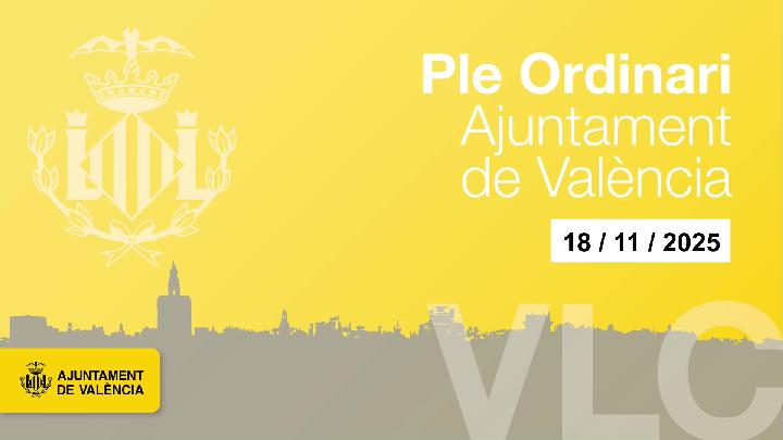 Ple Ordinari de l'Ajuntament de Valéncia 18 de novembre 2025.
181125-151214.