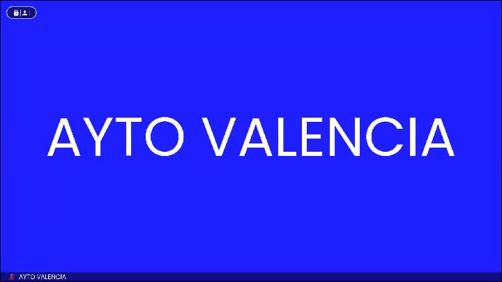 Comisión DANA 13-01-2025 (sesión 2 mañana)