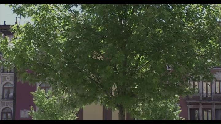 Semifinale 10000m punti JM
Semifinale 20000m Eliminazione SM - batteria 1